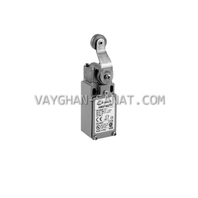میکروسوئیچ دو طرفه قرقره فلزی کامپی COMEPI مدل AM1F43Z11